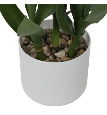 Pianta Dracaena Artificiale in Vaso Bianco 2 Misure