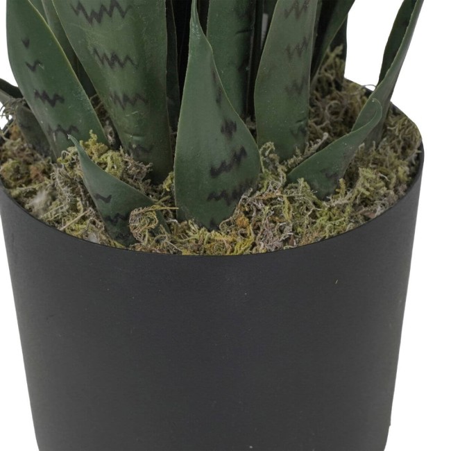 Pianta Sansevieria Artificiale in PE 2 Misure
