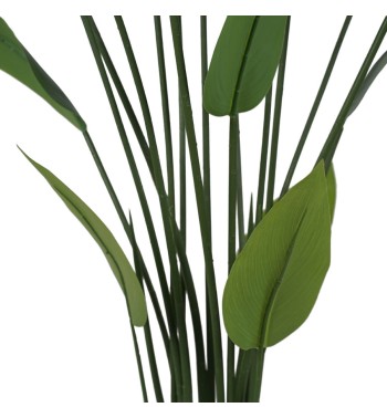 Pianta Strelitzia Reginae Artificiale 4 Misure Pianta Strelitzia Reginae Artificiale 4 Misure
