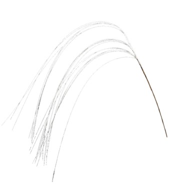 Ramo con Fili Glitterati H.113,5 cm Vari Colori Ramo con Fili Glitterati H.113,5 cm Vari Colori