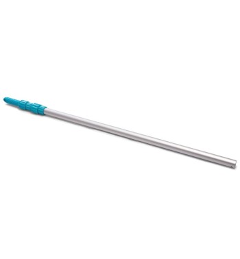 Asta Telescopica in Alluminio 279 cm - Intex 29055
