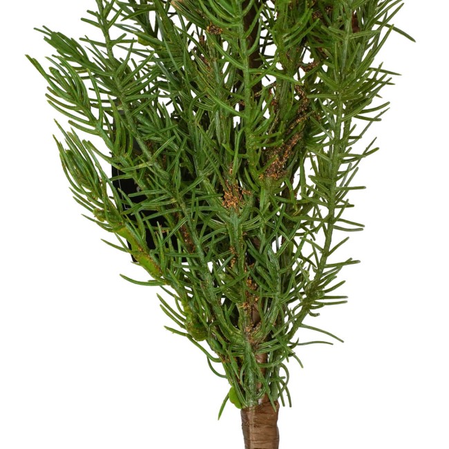 Rametto Natalizio in PE con Pigne 110 cm