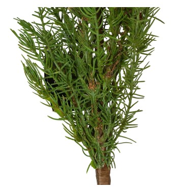 Rametto Natalizio in PE con Pigne 110 cm