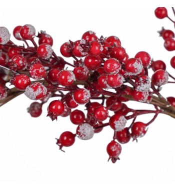 Ghirlanda Natalizia di Bacche D.50 cm Ghirlanda Natalizia di Bacche D.50 cm