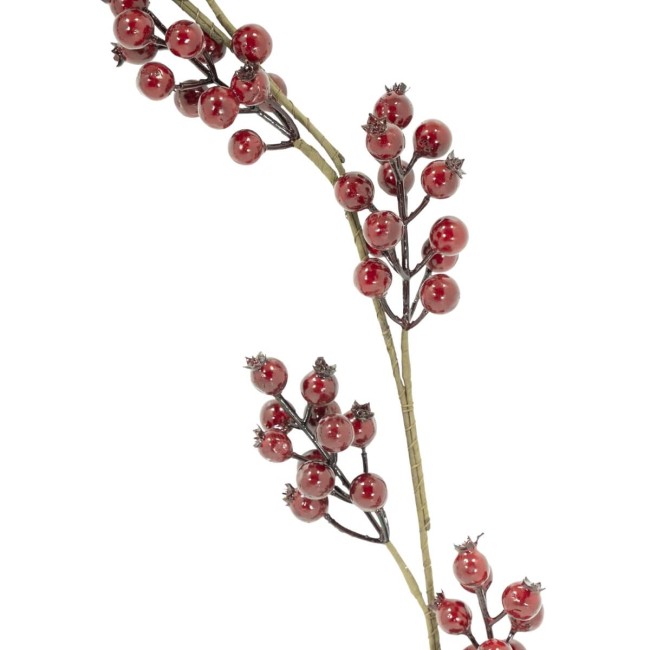 Tralcio Natalizio con Bacche Rosse L.170 cm