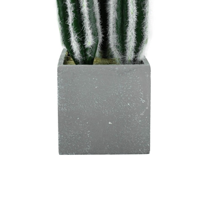 Piantina Grassa Artificiale con Aghetti Bianchi e Vasetto H.27 cm