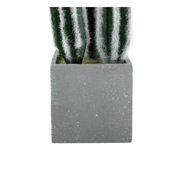 Piantina Grassa Artificiale con Aghetti Bianchi e Vasetto H.27 cm