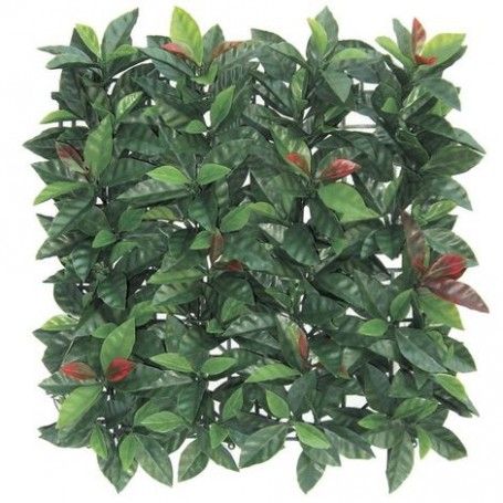 Mattonella di Edera con Foglia Autunnale 50x50 cm Mattonella di Edera con Foglia Autunnale 50x50 cm